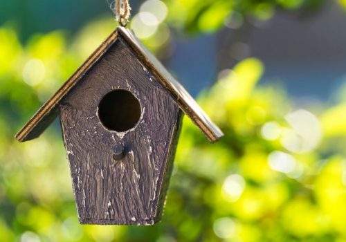Panorama bird house, birdhouse or bird box in summer or spring sunshine with natural green leaves background panoramic web banner